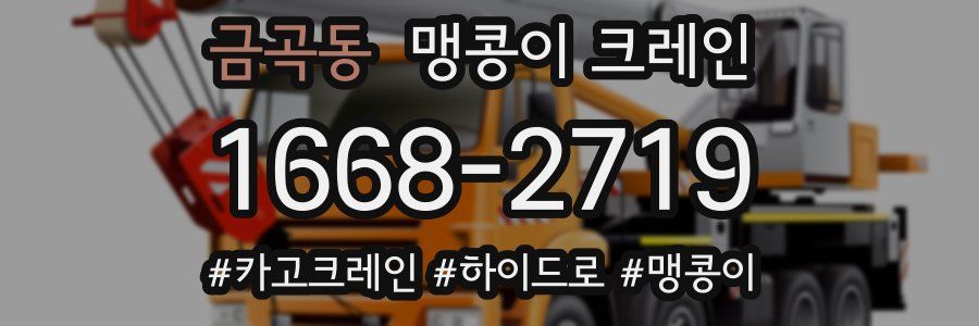 금곡동 맹콩이 크레인