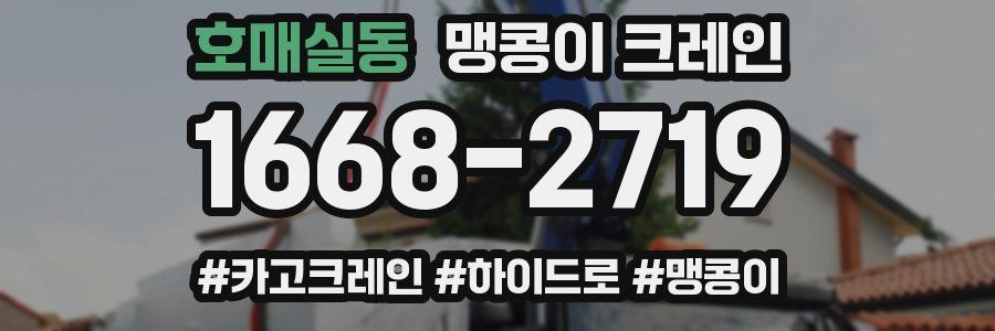 호매실동 맹콩이 크레인