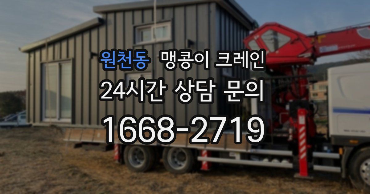 원천동 맹콩이 크레인