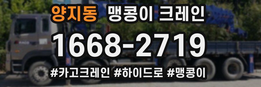 양지동 맹콩이 크레인