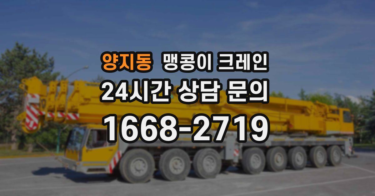 양지동 맹콩이 크레인