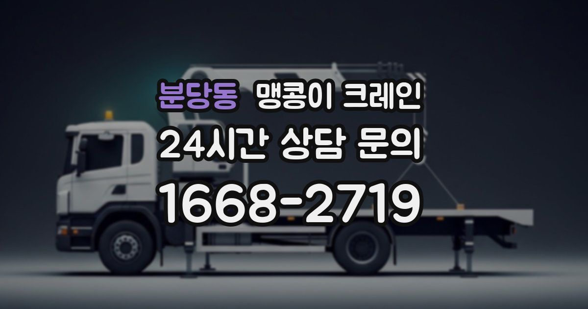 분당동 맹콩이 크레인