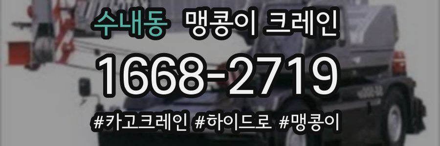 수내동 맹콩이 크레인
