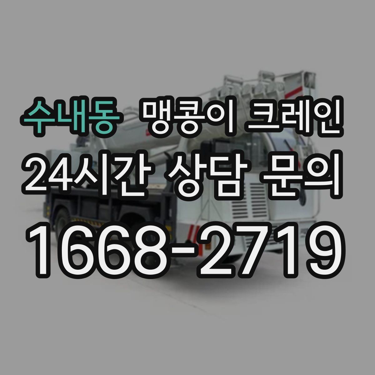 수내동 맹콩이 크레인