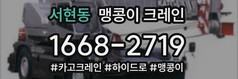 서현동 맹콩이 크레인