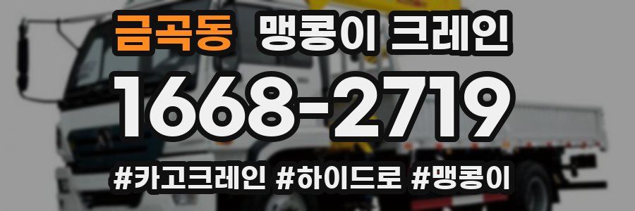 금곡동 맹콩이 크레인