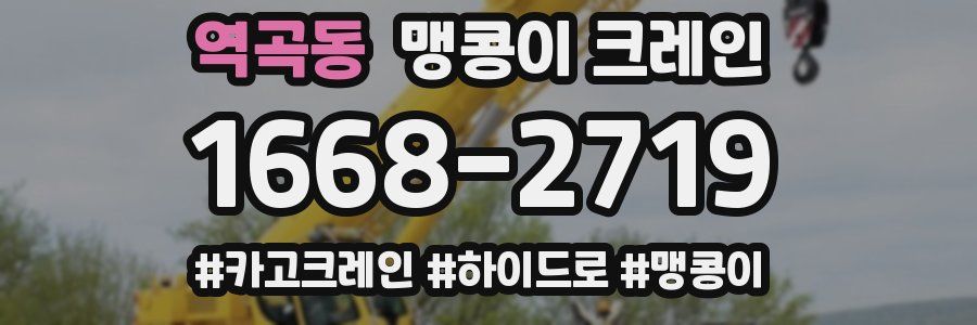 역곡동 맹콩이 크레인