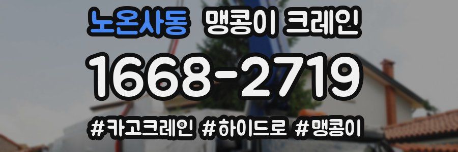 노온사동 맹콩이 크레인
