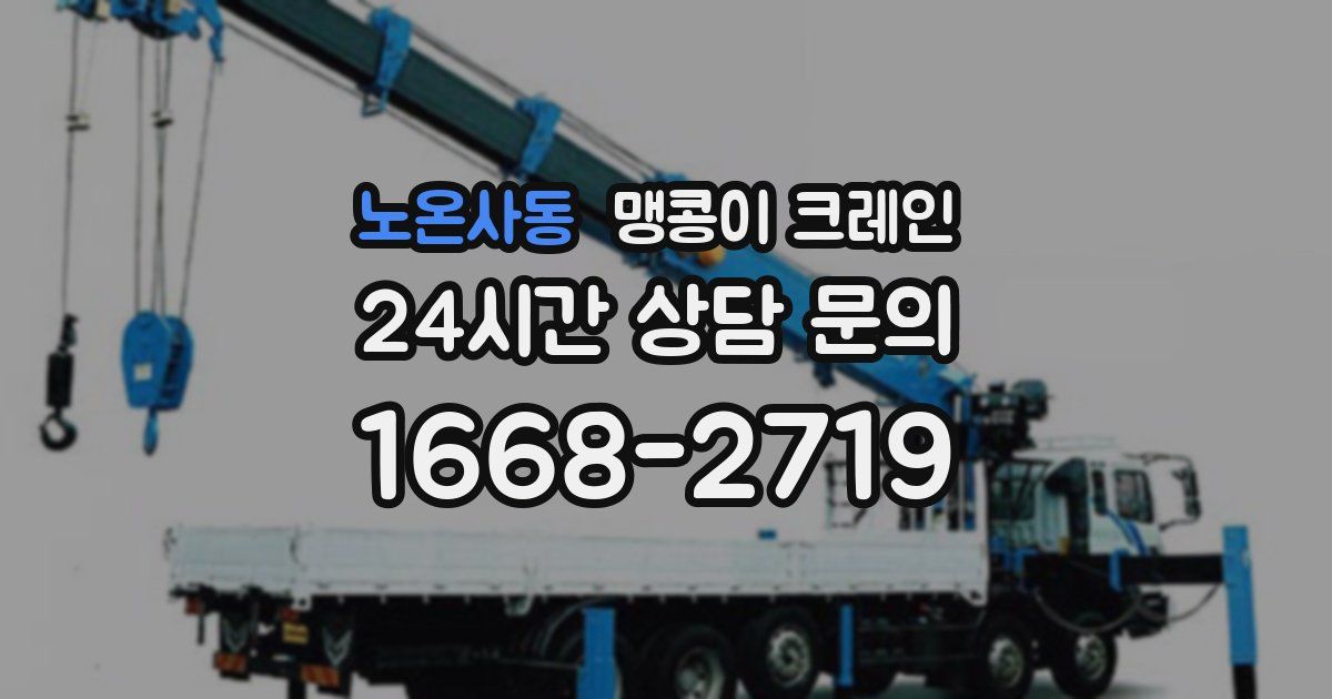 노온사동 맹콩이 크레인