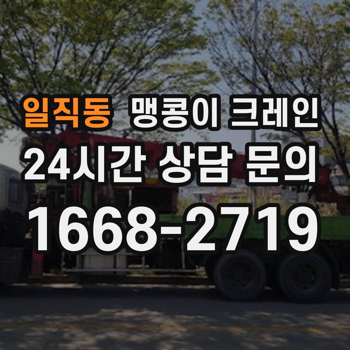 일직동 맹콩이 크레인