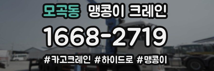 모곡동 맹콩이 크레인