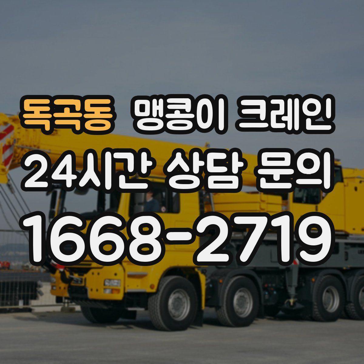 독곡동 맹콩이 크레인