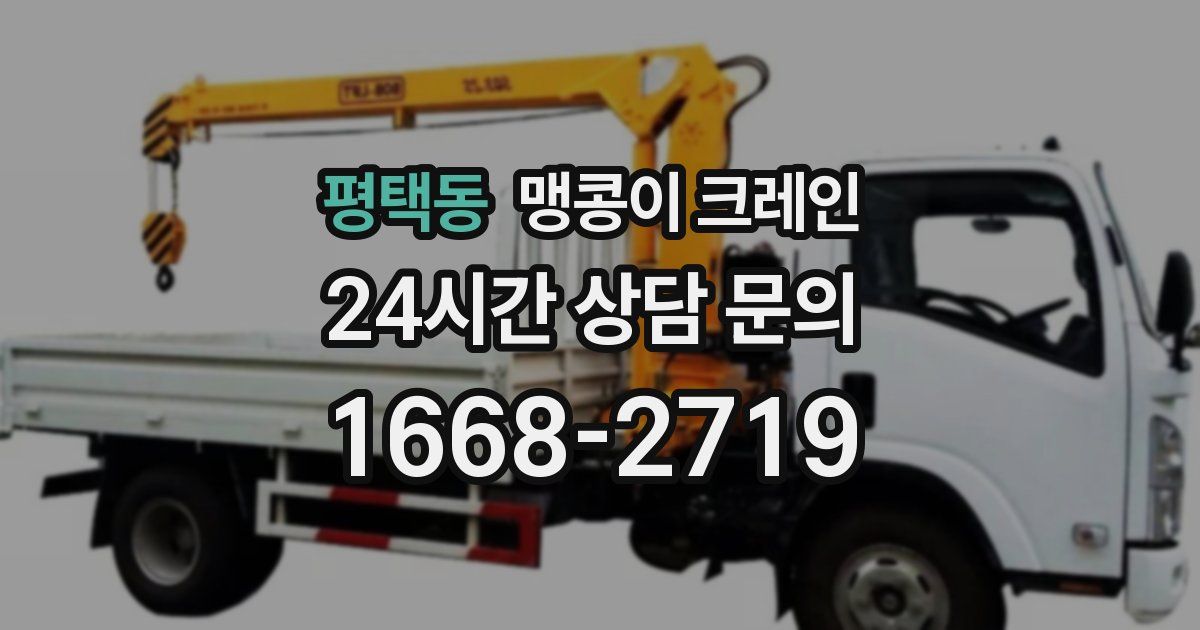 평택동 맹콩이 크레인