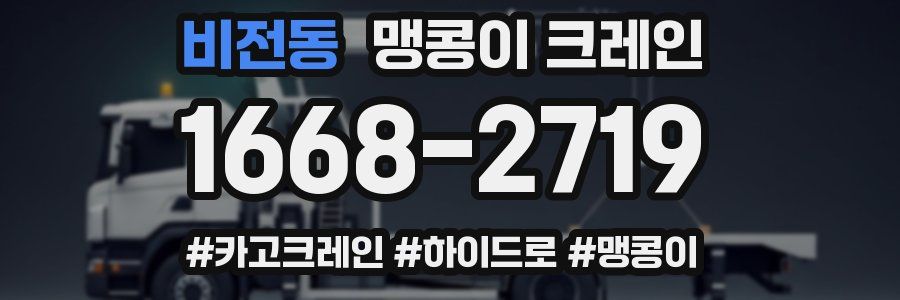 비전동 맹콩이 크레인