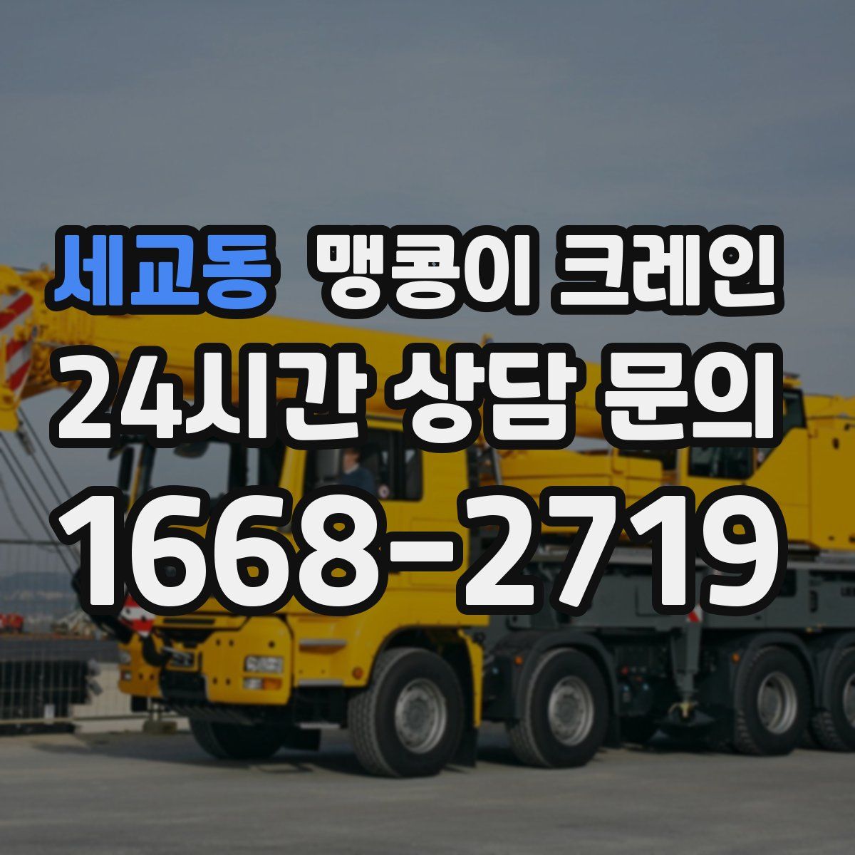 세교동 맹콩이 크레인