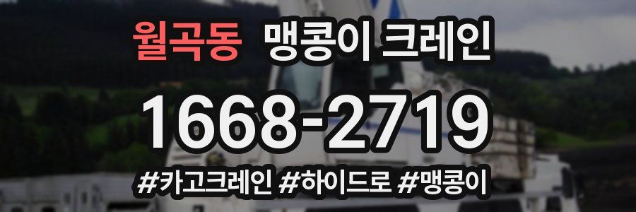 월곡동 맹콩이 크레인