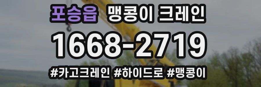 포승읍 맹콩이 크레인