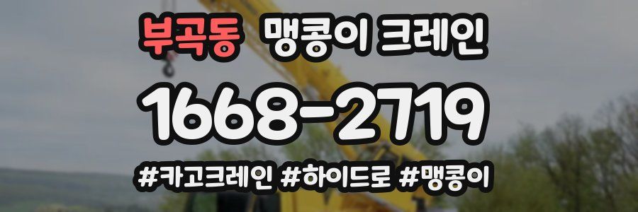 부곡동 맹콩이 크레인