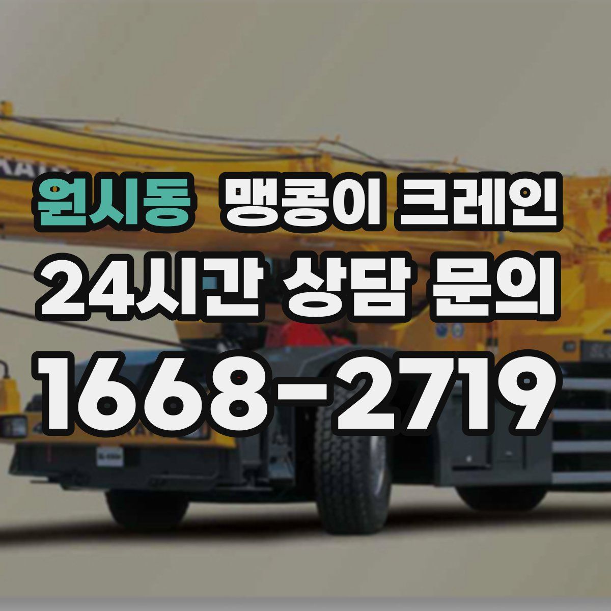 원시동 맹콩이 크레인