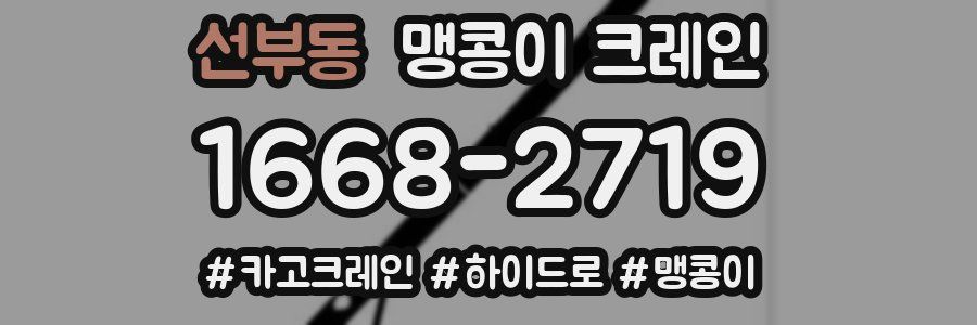 선부동 맹콩이 크레인