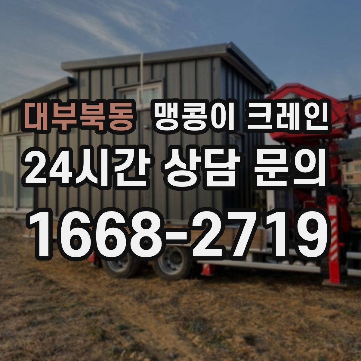 대부북동 맹콩이 크레인