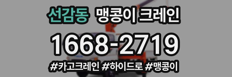 선감동 맹콩이 크레인