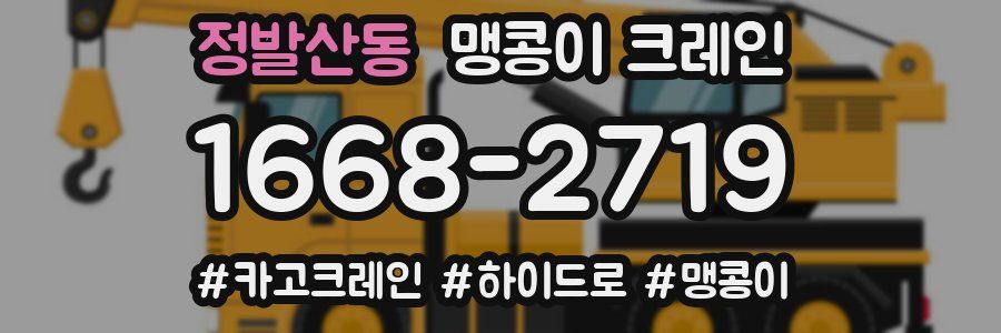 정발산동 맹콩이 크레인