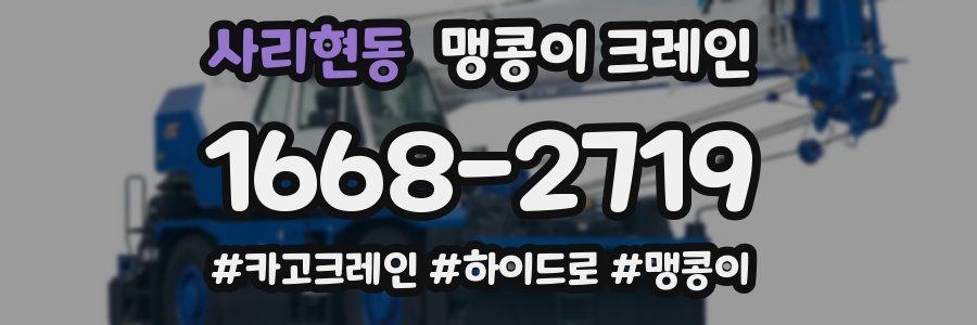 사리현동 맹콩이 크레인