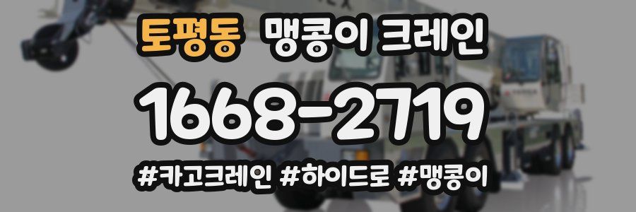 토평동 맹콩이 크레인