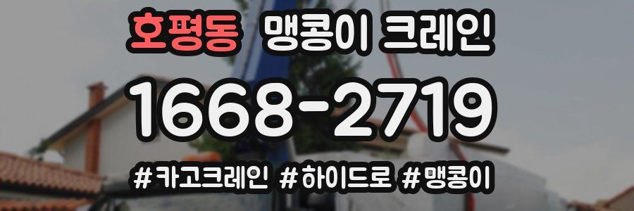 호평동 맹콩이 크레인