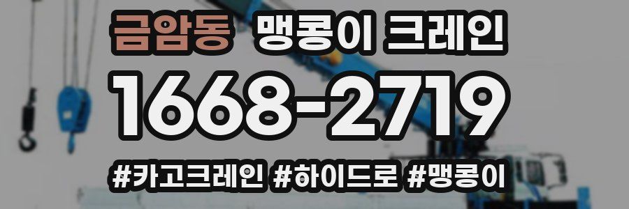 금암동 맹콩이 크레인