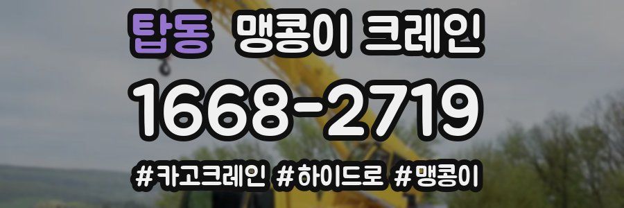 탑동 맹콩이 크레인