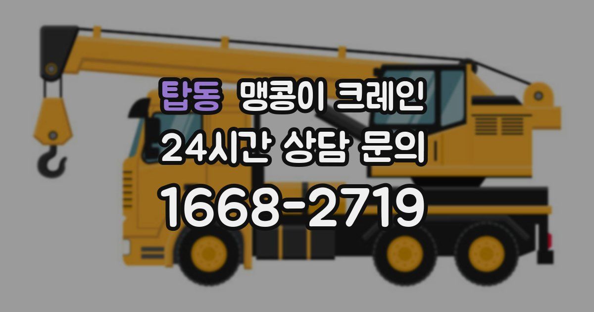 탑동 맹콩이 크레인
