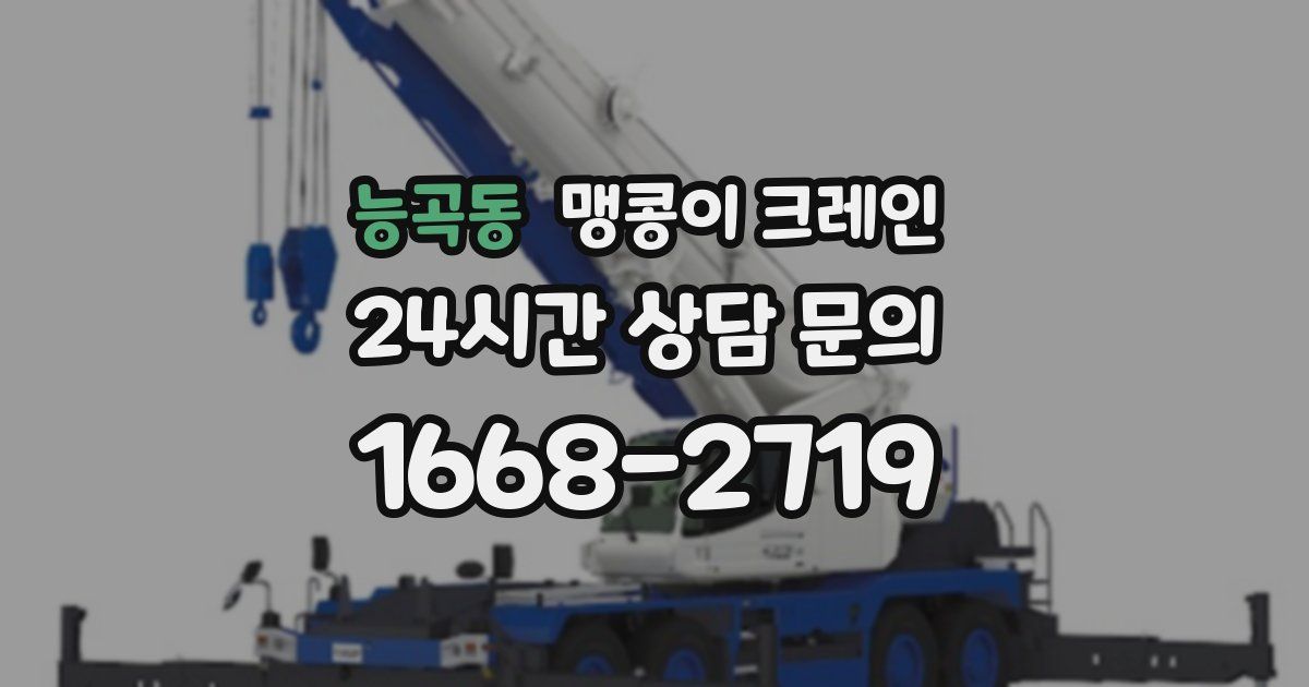 능곡동 맹콩이 크레인