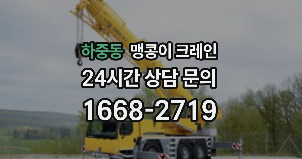 하중동 맹콩이 크레인