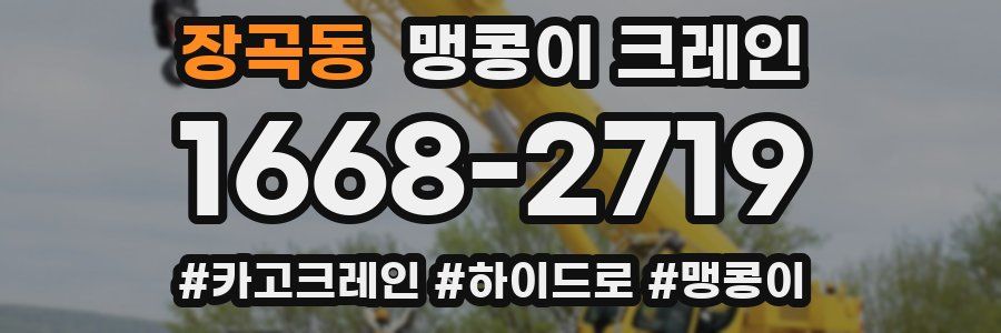 장곡동 맹콩이 크레인