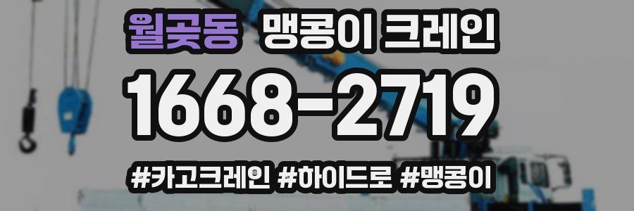 월곶동 맹콩이 크레인