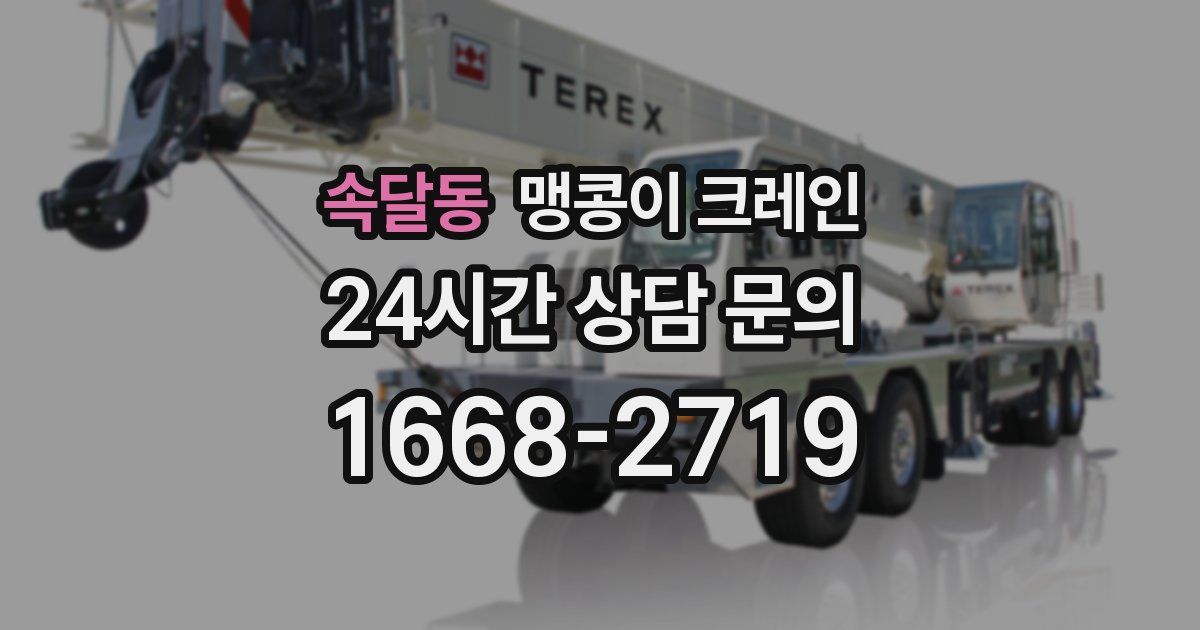 속달동 맹콩이 크레인