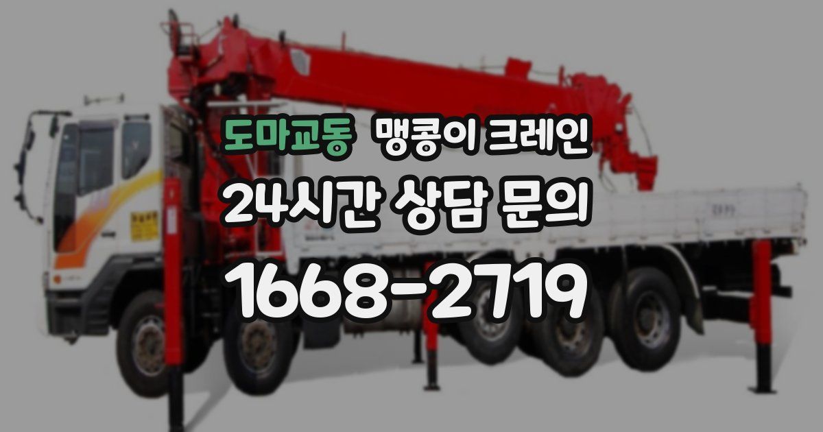도마교동 맹콩이 크레인