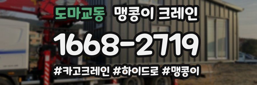 도마교동 맹콩이 크레인