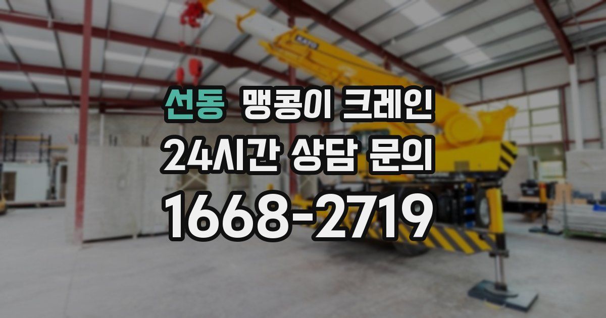 선동 맹콩이 크레인