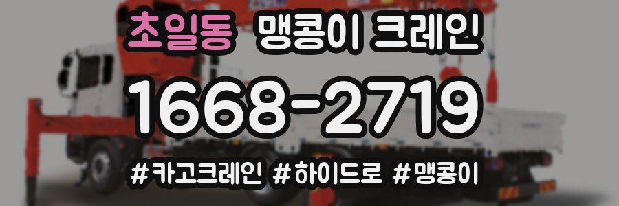 초일동 맹콩이 크레인