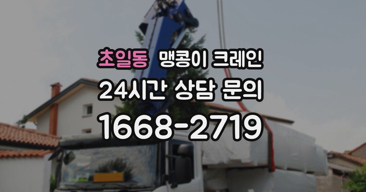 초일동 맹콩이 크레인