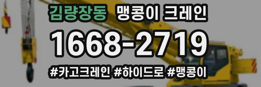 김량장동 맹콩이 크레인