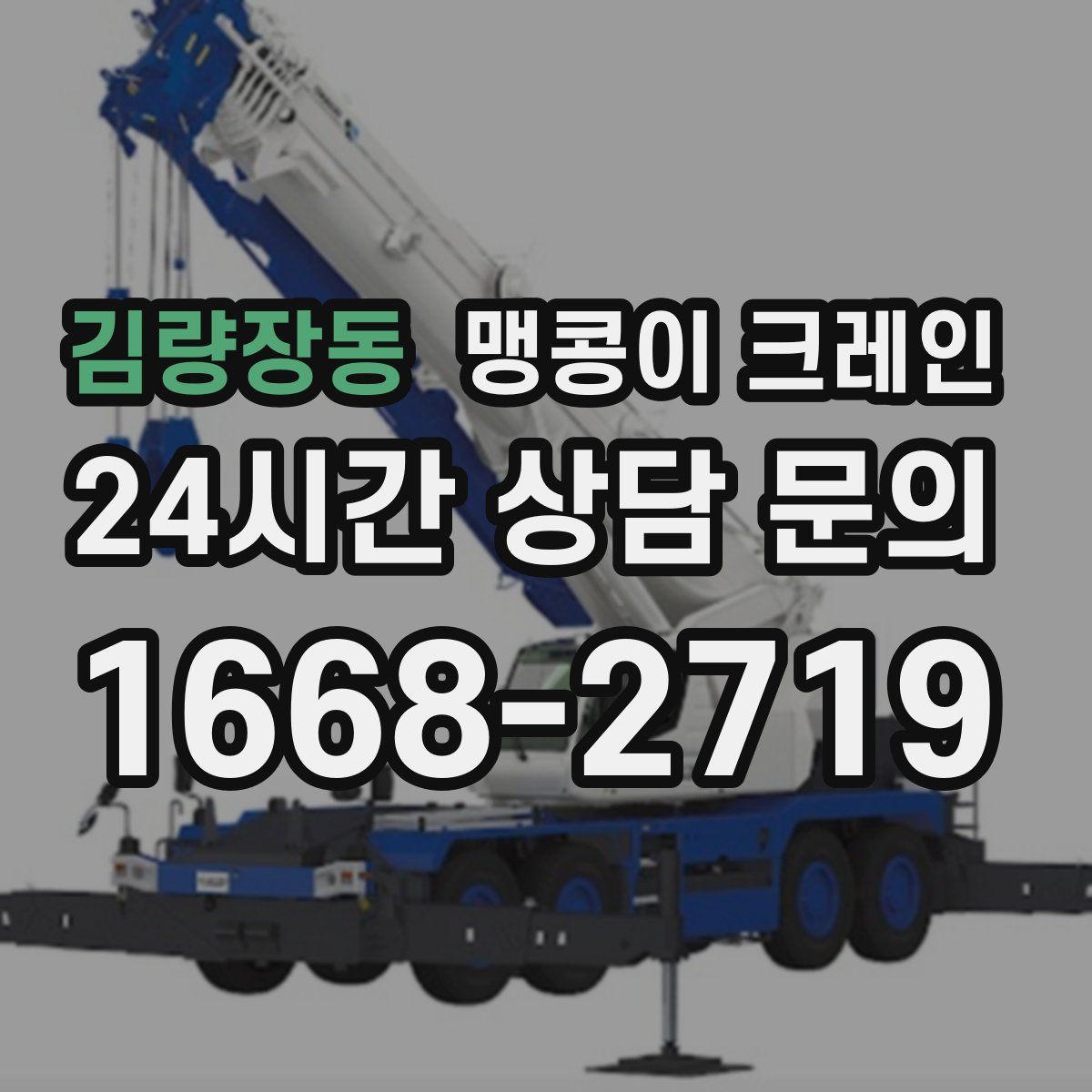 김량장동 맹콩이 크레인