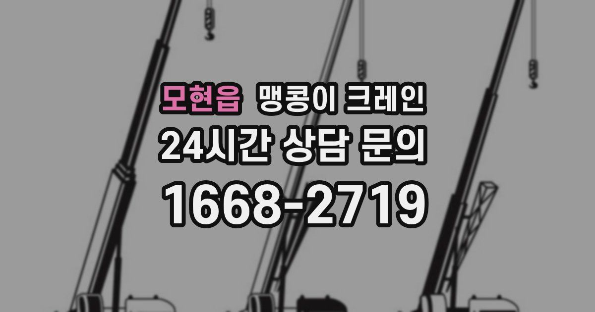 모현읍 맹콩이 크레인