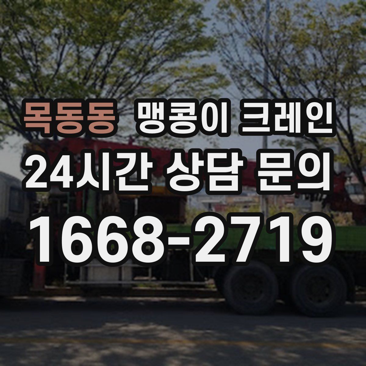 목동동 맹콩이 크레인