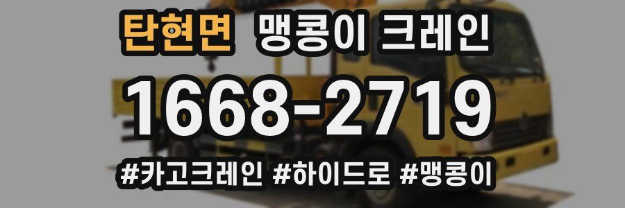 탄현면 맹콩이 크레인