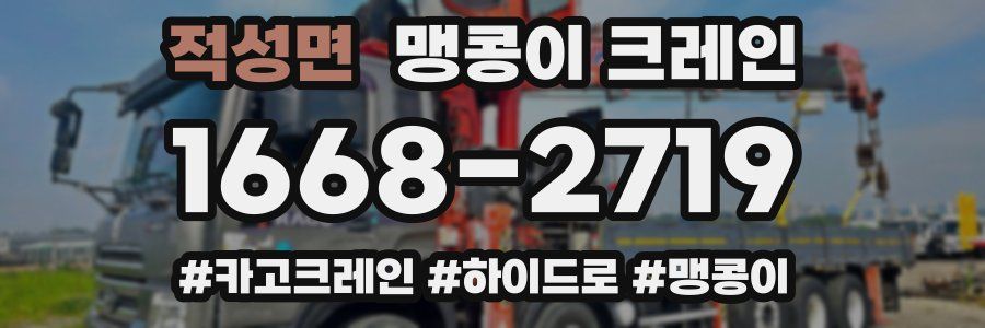 적성면 맹콩이 크레인