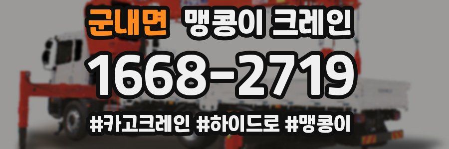 군내면 맹콩이 크레인